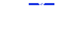 Servicio profesional